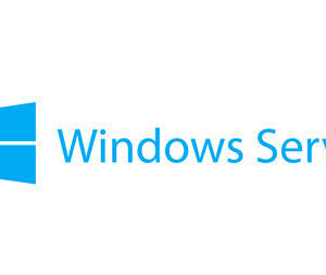 Lenovo Windows Remote Desktop Services CAL 2019 Client Access License (CAL) 1 license(s)